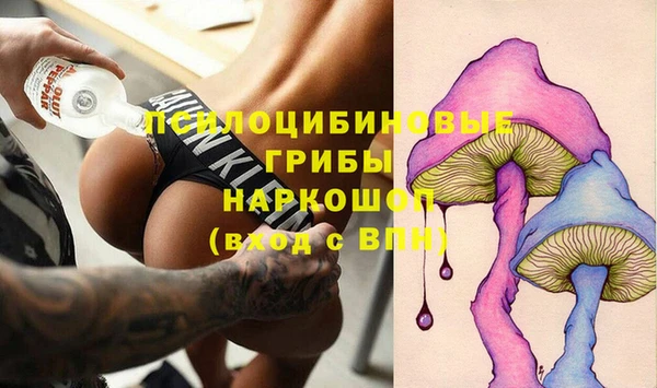 индика Абаза