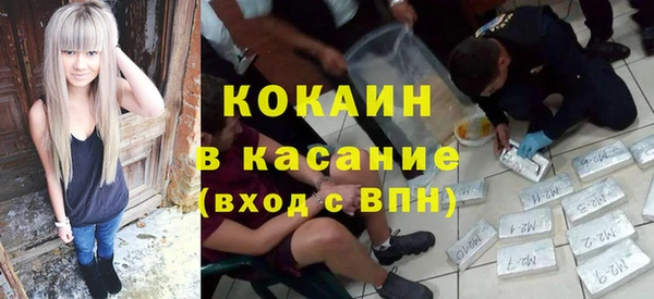 трава Аркадак