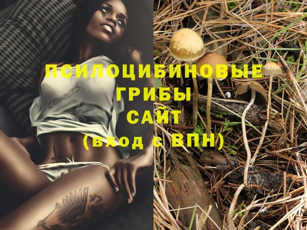 ешки Армянск